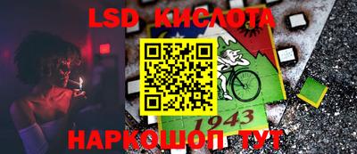 дмт Бийск