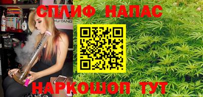 дмт Бийск