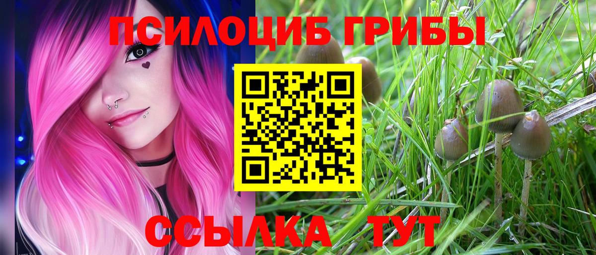 Галлюциногенные грибы мицелий Ивантеевка