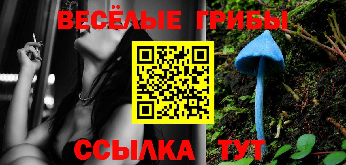 Псилоцибиновые грибы GOLDEN TEACHER  Галлюциногенные грибы прущие грибы  Ивантеевка  Вход с VPN 
